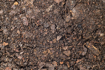 texture of organic soil, closeup macro