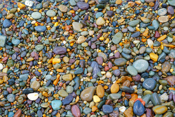 Background from multi-colored sea stones.