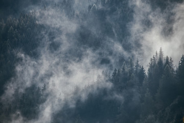 Obraz premium Dense morning fog in alpine landscape with fir trees and mountains. 