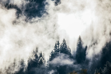 Fototapeta na wymiar Dense morning fog in alpine landscape with fir trees and mountains. 