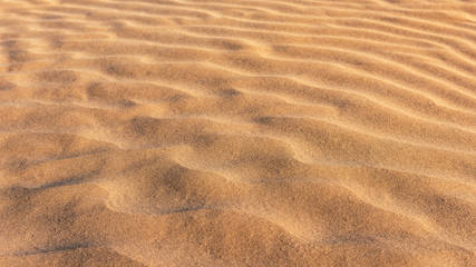 Fototapeta na wymiar Beautiful clean sand dunes texture