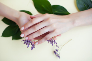 Fototapeta premium pretty perfect woman hands with white manicure and little flowers on colorful background
