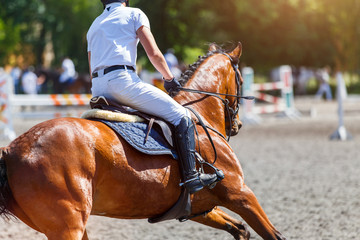 Young male horse rider on show jumping competition