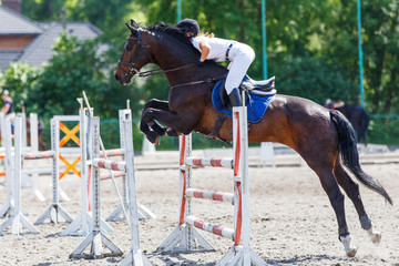 Horse rider woman on show jumping competition