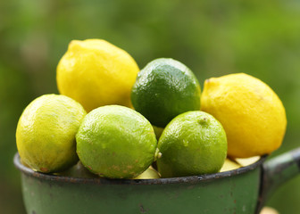 lime and lemon mixture in bowl on green summer plants garden background