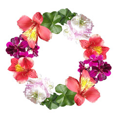 Beautiful floral circle of pelargonium and alstromeria. Isolated