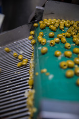olives factory equipment industrial