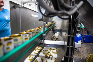 olives factory equipment industrial