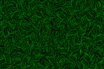 Green background with spruce texture for the design of a banner or greeting card or poster.