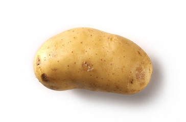 Potato isolated on white background, top view