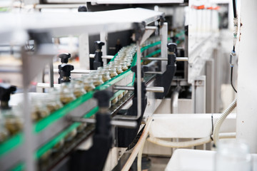 olives factory industrial equipment 