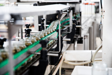 olives factory industrial equipment 