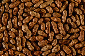 Peanut in a shell texture, background of peanuts