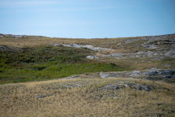 Steppes of Kazakhstan. A cliff overgrown with grass.