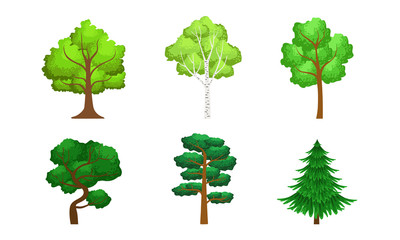 Collection of Green Coniferous and Deciduous Trees, Summer Landscape Design Elements Vector Illustration