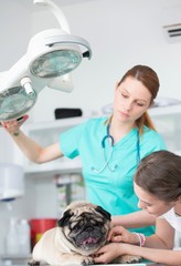 Young veterinary doctor and girl stroking pug on table at hospital
