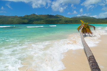 Tropical paradise beach without people. Incredible landscape of a tropical island.