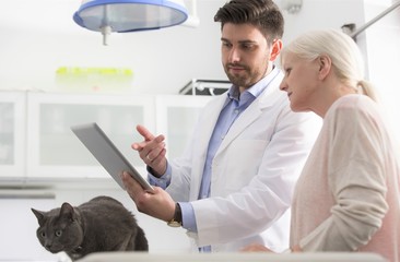 Confident doctor explaining medical results of russian blue cat to owner at clinic