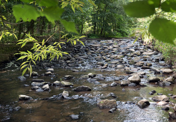 A stone weir in the forest