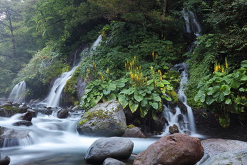 【山梨県】川俣渓谷 吐竜の滝
