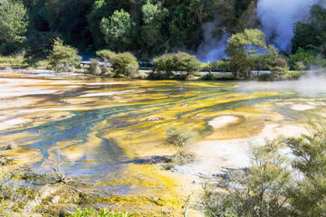 Geothermal activity at Waimangu Volcanic Valley in the Rotorua region of New Zealand.