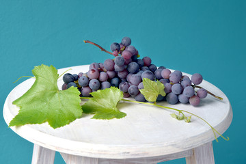 winogrona, winorośl, wino, wytrawne, słodkie wino, liść winogrona, zielony, fioletowy, gronowy, owoc, wina, jedzenie, kiść winogron, zieleń, winnica, dojrzałe, świeże, roślina pnąca, zdrowa żywność, j