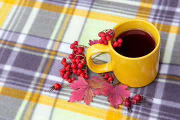 Obraz na płótnie Canvas A yellow cup of tea stands on a plaid. Near a mug are clusters of mountain ash, rosehip berries and red autumn leaves.