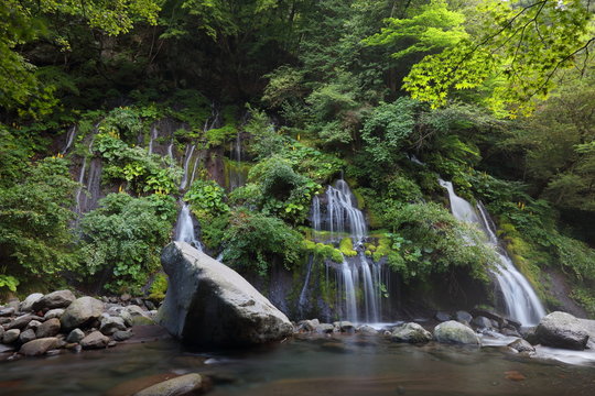 【山梨県】川俣渓谷 吐竜の滝