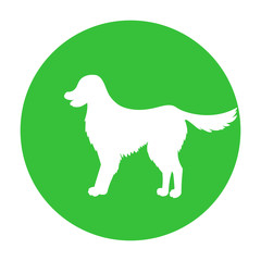 Dog friendly sign. White silhouette of dog on green circle. Vector. Breed labrador, golden retriever