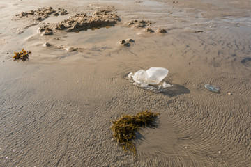 Remains of plastic bags on the shore of a beach.