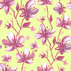 Fototapeta na wymiar Seamless floral pattern. Orchids on the background. Botanical illustration. Design for packaging, fabric, textile, wallpaper, website, cards.