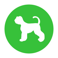 Dog friendly sign. White silhouette of dog on green circle. Vector. Breed schnauzer