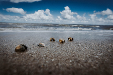 Nordsee, Dangast, Jadebusen, Niedersachsen, Sand, Strand, Muscheln, Wasser, Steg, Friesland, Wolken, Himmel, Horizont, Dünen
