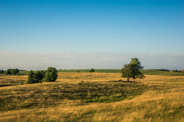 Landscape with masurian meadow, Masuria, Poland