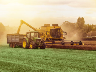 Fototapeta premium combine harvester working on wheat field