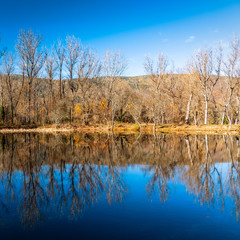 Reflections of autumn forest on lake in the fall season
