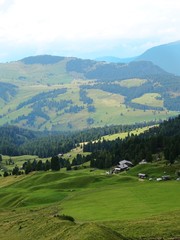 Fototapeta na wymiar The Seiser Alm / Alpe di Siusi, between the Dolomites, the Woods and the nature of Trentino, near the village of Ortisei, Italy - August 2019.