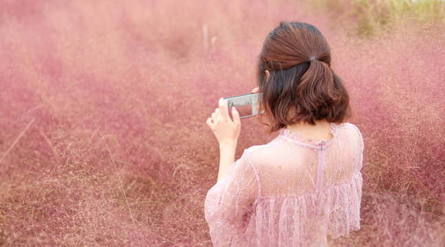 Rear view of beautiful Chinese young woman in pink dress holding her mobile phont to take photos in pink hairawn muhly field.