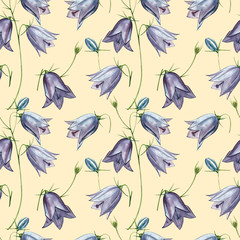 Obraz premium Bellflower blossoms, leaves and bouquets set. Seamless patterns. Watercolor set of flowers and leaves, hand drawn floral illustration isolated on a white background. Botanical art.