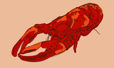drawing illustration of a big red lobster on a beige background