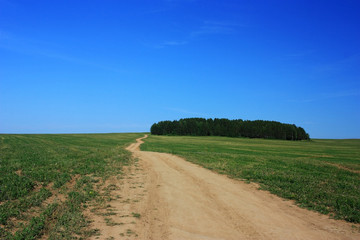 Fototapeta na wymiar Country road in green field