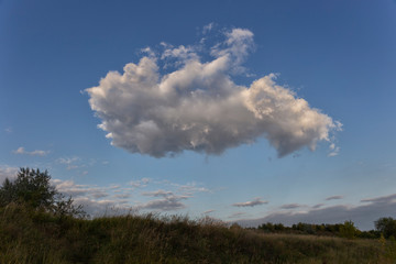 Obraz na płótnie Canvas a large cloud hangs over the field.