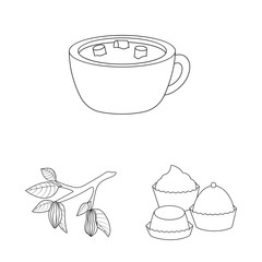 Vector design of cocoa and beans logo. Set of cocoa and sweetness vector icon for stock.