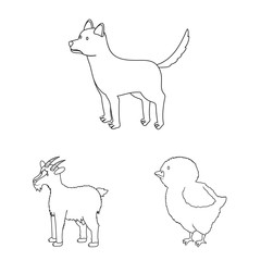 Isolated object of homemade and countryside logo. Collection of homemade and agriculture stock symbol for web.