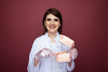 Female dentist with white smile holding jaw and brush showing process of cleaning isolated