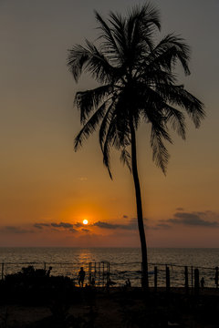  Sunset on the beach in the sea against the silhouette of a palm tree. © lvp312