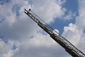 fire truck crane in the sky