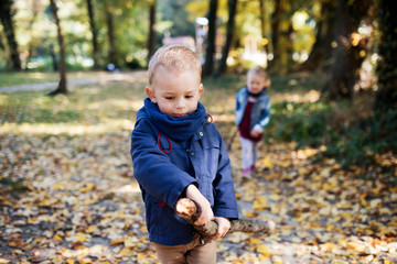 Twin toddler sibling boy and girl walking in autumn forest.