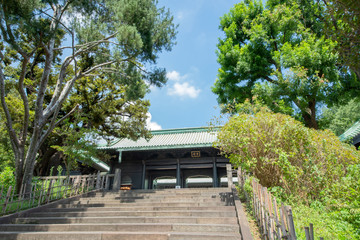 Fototapeta na wymiar 湯島聖堂