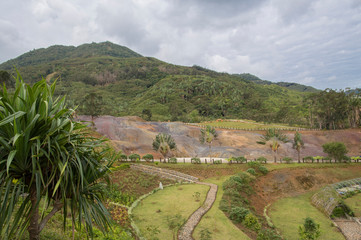 Obraz premium summer landscape african savannah in Mauritius